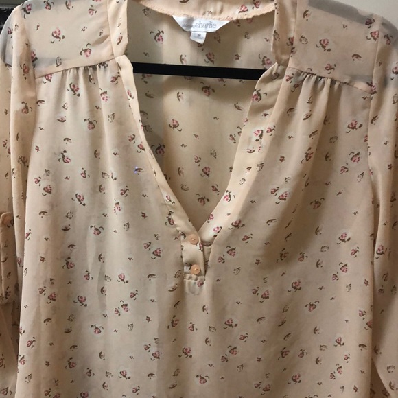 NWOT pink sheer shirt with roses - Picture 2 of 5